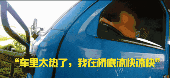 罚款200记6分&nbsp;卡友为了乘凉做了荒唐事