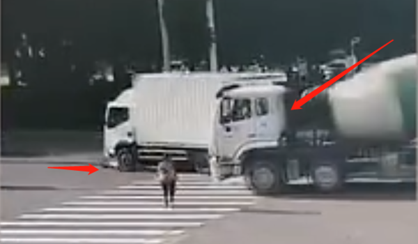 致2人死亡！货车礼让行人被工程车追尾